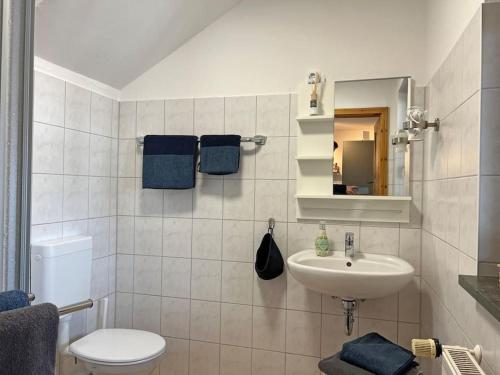 a white bathroom with a sink and a toilet at FeWo Wollin Mecklenburg Pool Alte Schule Barlin in Dargun
