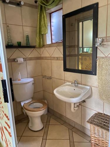 a bathroom with a toilet and a sink at Texas lodge in Phalaborwa