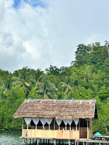 a house on a dock on the water with palm trees at Nyanse Homestay - Raja Ampat in Besir
