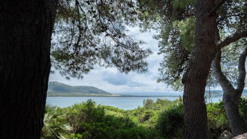 a view of a lake from between two trees at Villa Laura by Wonderful Italy in Alghero