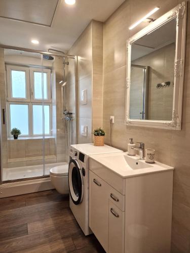 a bathroom with a sink and a washing machine at Apartman Golf in Zagreb
