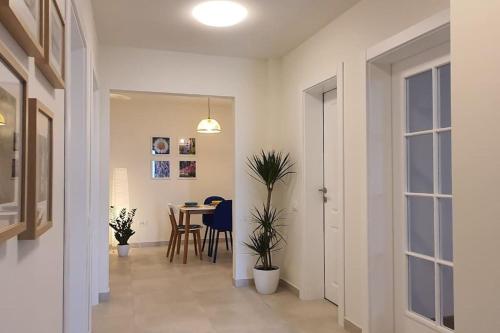 Fotografie z fotogalerie ubytování Forrest Road Residence v destinaci Herceg-Novi