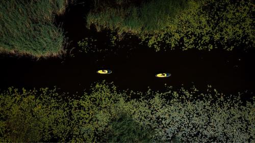 two eyes in the middle of a forest of trees at Lubāna mitrāja informācijas centrs in Abaine