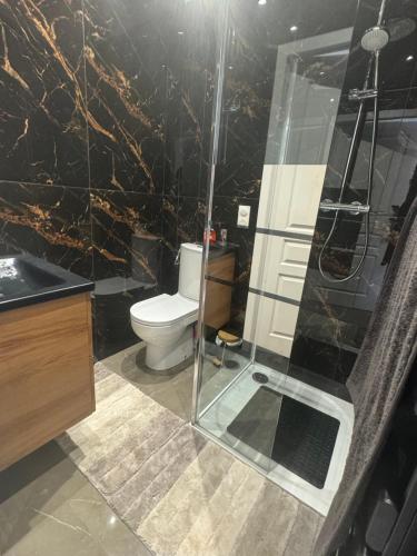 une salle de bain avec toilettes et douche en verre dans l'établissement French Riviera, à Cannes