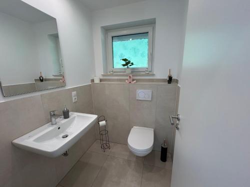 a bathroom with a sink and a toilet and a window at Wellness-Ferienhaus mit Dampfbad & Sauna am Nürburgring in Leimbach