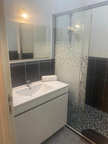 une salle de bain blanche avec un lavabo et une douche dans l'établissement Maison de charme st euphemie, à Sainte-Euphémie