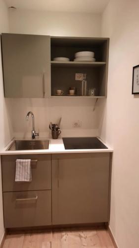 a kitchen with a sink and a counter top at Orizzonti d'Anaunia in Tassullo