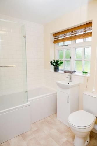 a bathroom with a toilet and a tub and a sink at Herons Lodge in Abergavenny