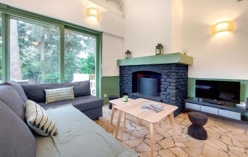 un salon avec un canapé et une cheminée dans l'établissement Nice Home In Lege-Cap-Ferret With Wifi, à Lège-Cap-Ferret