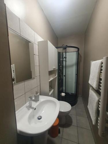 une salle de bain avec un lavabo, une douche et des toilettes dans l'établissement Bel Appartement Centre-Ville, à Saint-Quentin