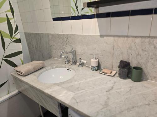 - un comptoir de salle de bains avec lavabo dans la chambre dans l'établissement Séjour à 10 minutes du Château de Versailles et 20 minutes de Roland-Garros- Votre suite avec lit King Size, à Le Chesnay