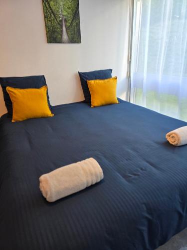 - un lit avec 2 oreillers et une couverture bleue dans l'établissement Séjour à 10 minutes du Château de Versailles et 20 minutes de Roland-Garros- Votre suite avec lit King Size, à Le Chesnay