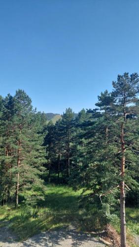 Gallery image of APARTMAN GREEN HILLS 20 in Divčibare