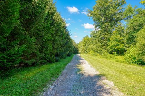 a dirt road in the middle of a field with trees at Moonlight Waters by Pond in South Bloomingville