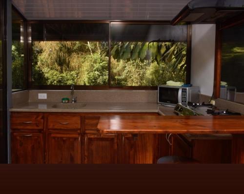 a kitchen with a counter with a microwave and a window at Centro Ecológico La Ribera-CABINA 5 in San Rafael