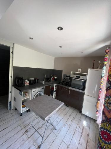 une cuisine avec un réfrigérateur et une table à l'intérieur dans l'établissement Studio Bas de villa avec grande terrasse, à Piedigriggio