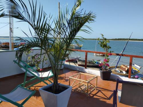 a deck with chairs and a potted plant on a boat at Pousada Tycoz Flor do mar in Galinhos