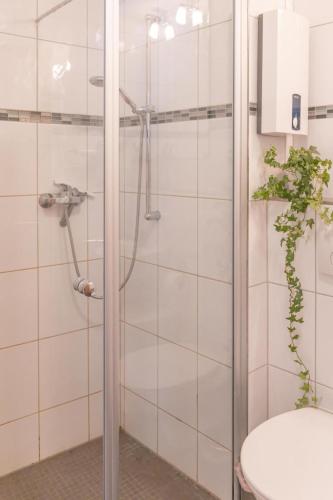 a shower with a glass door in a bathroom at Ferienwohnung 3 Am Petersberg in Neef