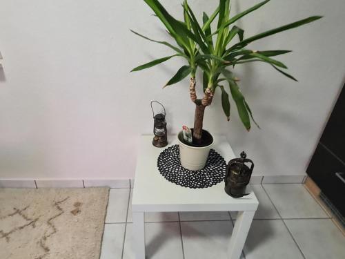 a potted plant sitting on a white table at Haus Kurtrier in Merl
