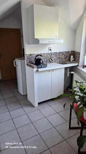 Kuchyň nebo kuchyňský kout v ubytování Pension Egida