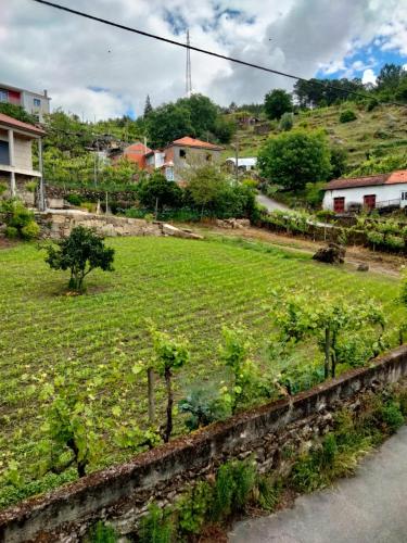 a field with trees and plants on a hill at La Casa de Marta in Ribeira de Pena