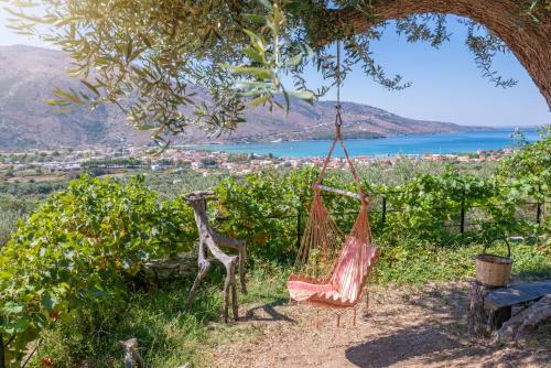 a hammock hanging from a tree in a vineyard at Liodentro - Olea in Plataria