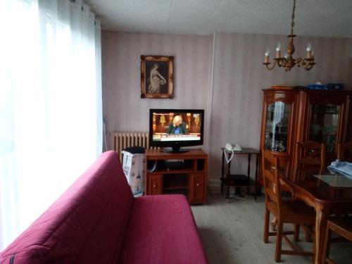 a living room with a couch and a television at Chambre individuelle dans un grand appartement 3 pièces in Rueil-Malmaison