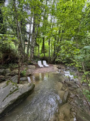 two white chairs sitting in a stream in a forest at Bio Agriturismo Il Vigno in Caprese Michelangelo