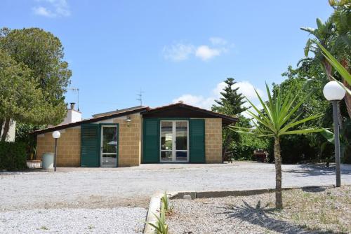 a small building with a palm tree in front of it at Silver by Penta Dream House in Campofelice di Roccella