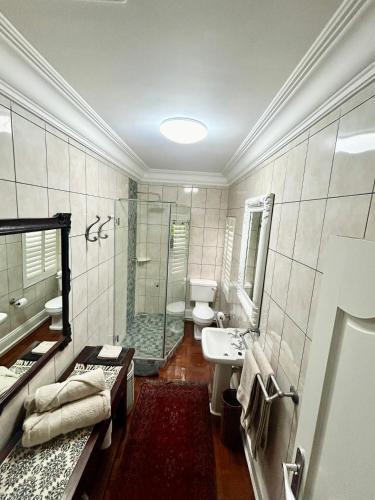 a bathroom with a shower and a toilet and a sink at French Manor 2 Stellenbosch in Stellenbosch