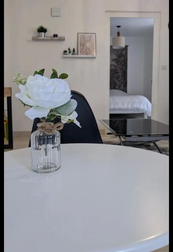 un vase avec une fleur assise sur une table dans l'établissement Joli appart cour proche bord de loire, à Blois