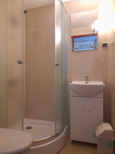 a bathroom with a shower and a sink and a toilet at Noclegi u Daszyka in Polańczyk