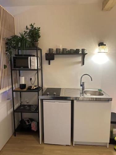 une cuisine avec un évier et une étagère avec des plantes dans l'établissement Cosy avec terrasse à Disney, à Montévrain
