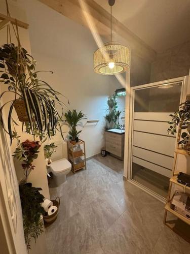 La salle de bains est pourvue de toilettes et de plantes en pot. dans l'établissement Cosy avec terrasse à Disney, à Montévrain
