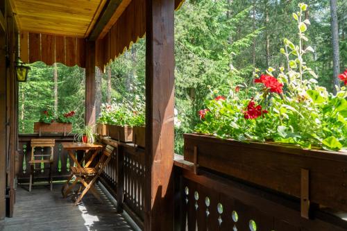 Κήπος έξω από το B&B Villa La Bercia
