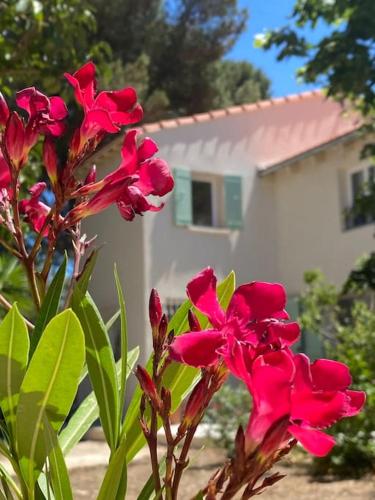Villa Gyptis - Calanques, Calme & Spacieux photo 10