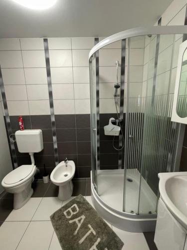 a bathroom with a shower and a toilet and a sink at Sunset by the lake in Siófok