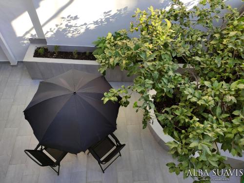Zahrada ubytování Alba Suāvis - Luxury City Apartment