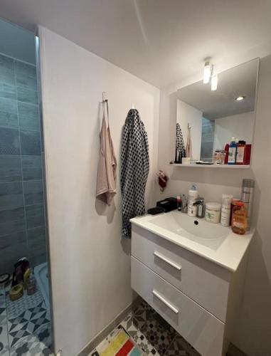 une salle de bain blanche avec un lavabo et une douche dans l'établissement Charmant studio Chartreux, à Marseille