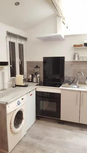 une cuisine avec un évier et une machine à laver dans l'établissement Charmant studio Chartreux, à Marseille