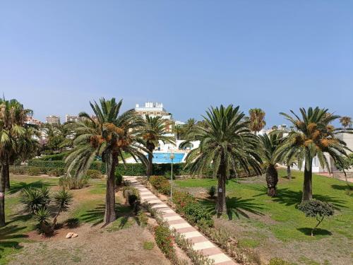a row of palm trees in a park at Tropicana Suite con salida directa al mar y piscina in Roquetas de Mar