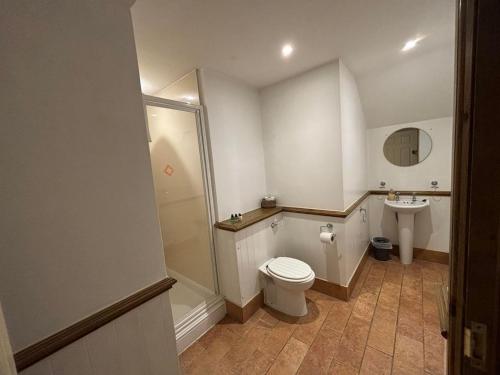 a bathroom with a toilet and a sink at True Lovers Knot in Blandford Forum