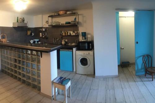 une cuisine avec un évier et une machine à laver dans l'établissement Un jardin près de la plage, à Hyères