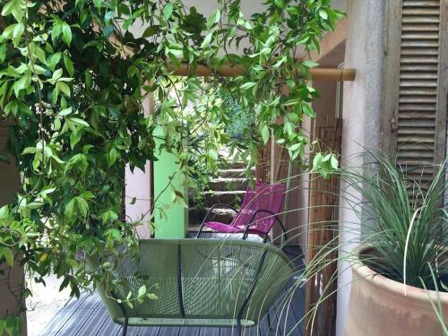 Un jardin près de la plage