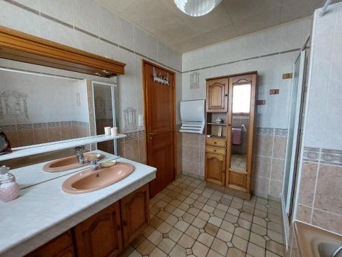 a bathroom with a sink and a shower at Gîte des Lauriers Roses - Piscine collective, Spas et jardins privés - 7 kms de la plage de Lespecier in Bias