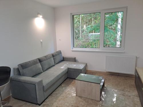 a living room with a couch and a window at 14apartment in Horní Žďár