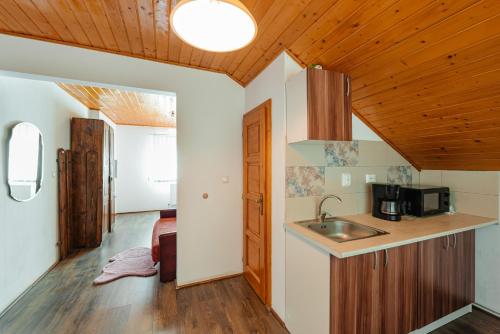 a kitchen with a sink and a counter top at Perla Lacului in Rişca