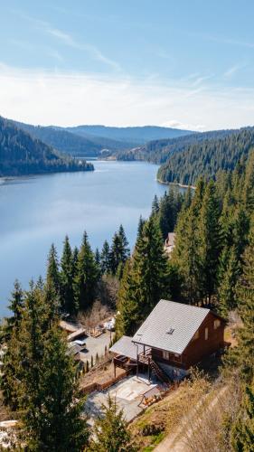 an aerial view of a cabin next to a lake at Perla Lacului in Rişca
