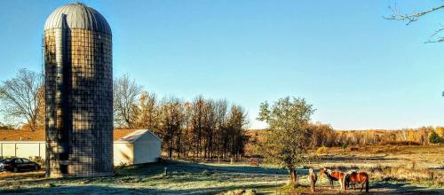 two horses are standing in a field next to a silo at Beach Mirage Suites , Rm #4 in Brook Park