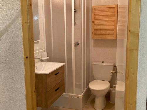 a small bathroom with a toilet and a sink at Duplex cosy à Termignon-Val Cenis, 7 pers, au pied des pistes, balcon, garage, Wi-Fi gratuit - FR-1-508-295 in Termignon